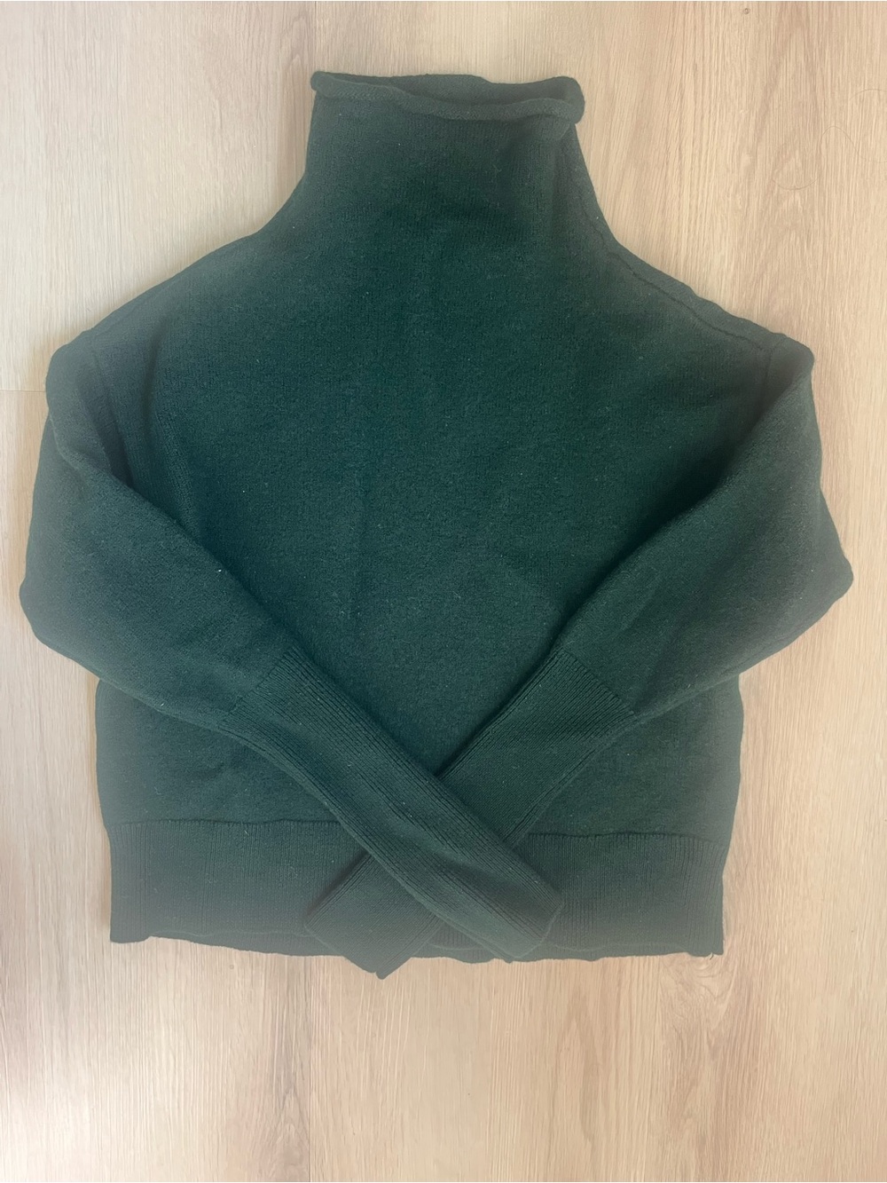 Wilfred Aritzia 100% Merino Wool Turtleneck Sweater XS